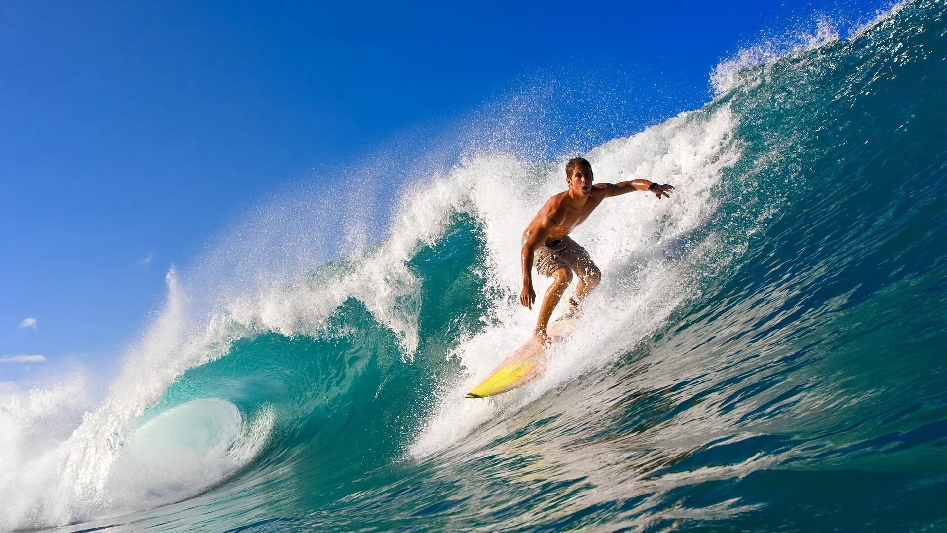 爱体育娱乐入口-F1产业链的全球布局与发展，f1集团业务